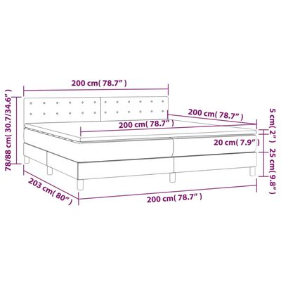 vidaXL Boxspringbett mit Matratze Schwarz 200x200 cm Samt