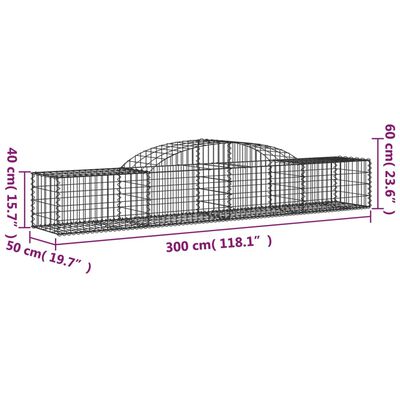 vidaXL Gabionen mit Hochbogen 2 Stk. 300x50x40/60 cm Verzinktes Eisen