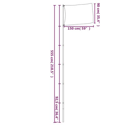 vidaXL Flagge Irlands mit Mast 5,55 m Aluminium