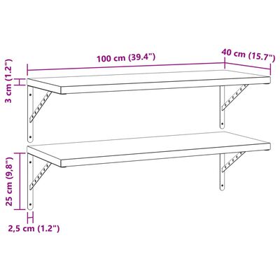 vidaXL Wandregale 2 Stk. 100x40 cm Schwarz Edelstahl