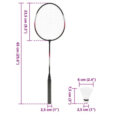 vidaXL Badminton-Set mit 2 Schlägern, Netz & Tasche 292x30x152 cm