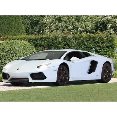 JAMARA Ferngesteuerter Rennwagen Lamborghini Aventador 1:14 Weiß