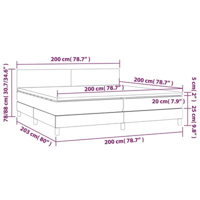 vidaXL Boxspringbett mit Matratze Schwarz 200x200 cm Samt