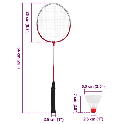 vidaXL Badminton-Set mit 4 Schlägern und Netz 620x151 cm