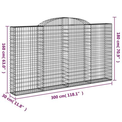 vidaXL Gabionen mit Hochbogen 2 Stk. 300x30x160/180cm Verzinktes Eisen