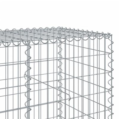 vidaXL Gabione mit Deckel 200x100x100 cm Verzinktes Eisen