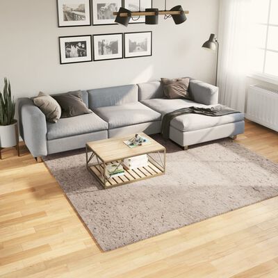 vidaXL Shaggy-Teppich PAMPLONA Hochflor Modern Beige 240x240 cm