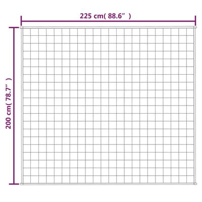 vidaXL Gewichtsdecke Grau 200x225 cm 9 kg Stoff