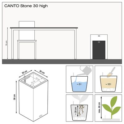 LECHUZA Pflanzgefäß CANTO Stone 30 High ALL-IN-ONE Graphitschwarz