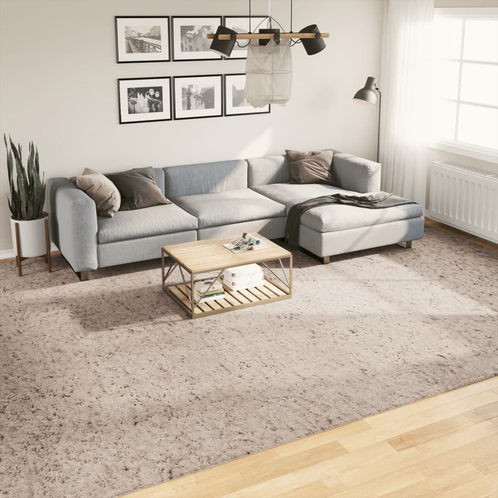 vidaXL Teppich Shaggy Hochflor Modern Beige 300x400 cm