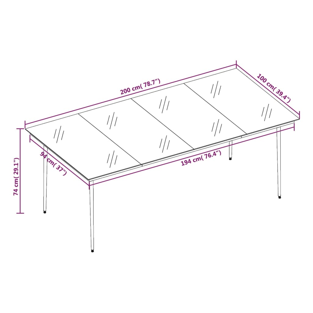 vidaXL Garten-Esstisch Schwarz 200x100x74 cm Stahl und Glas