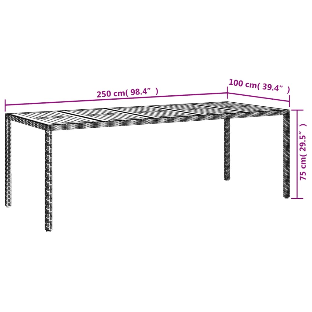 vidaXL Gartentisch Schwarz 250x100x75 cm Poly Rattan