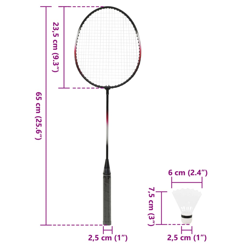 vidaXL Badminton-Set mit 2 Schlägern, Netz & Tasche 292x30x152 cm