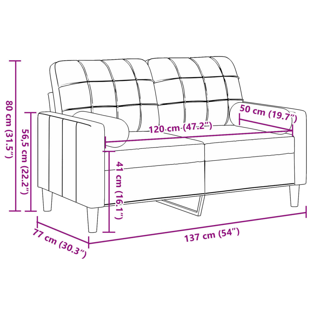 vidaXL 2-Sitzer-Sofa mit Zierkissen Hellgrau 120 cm Samt