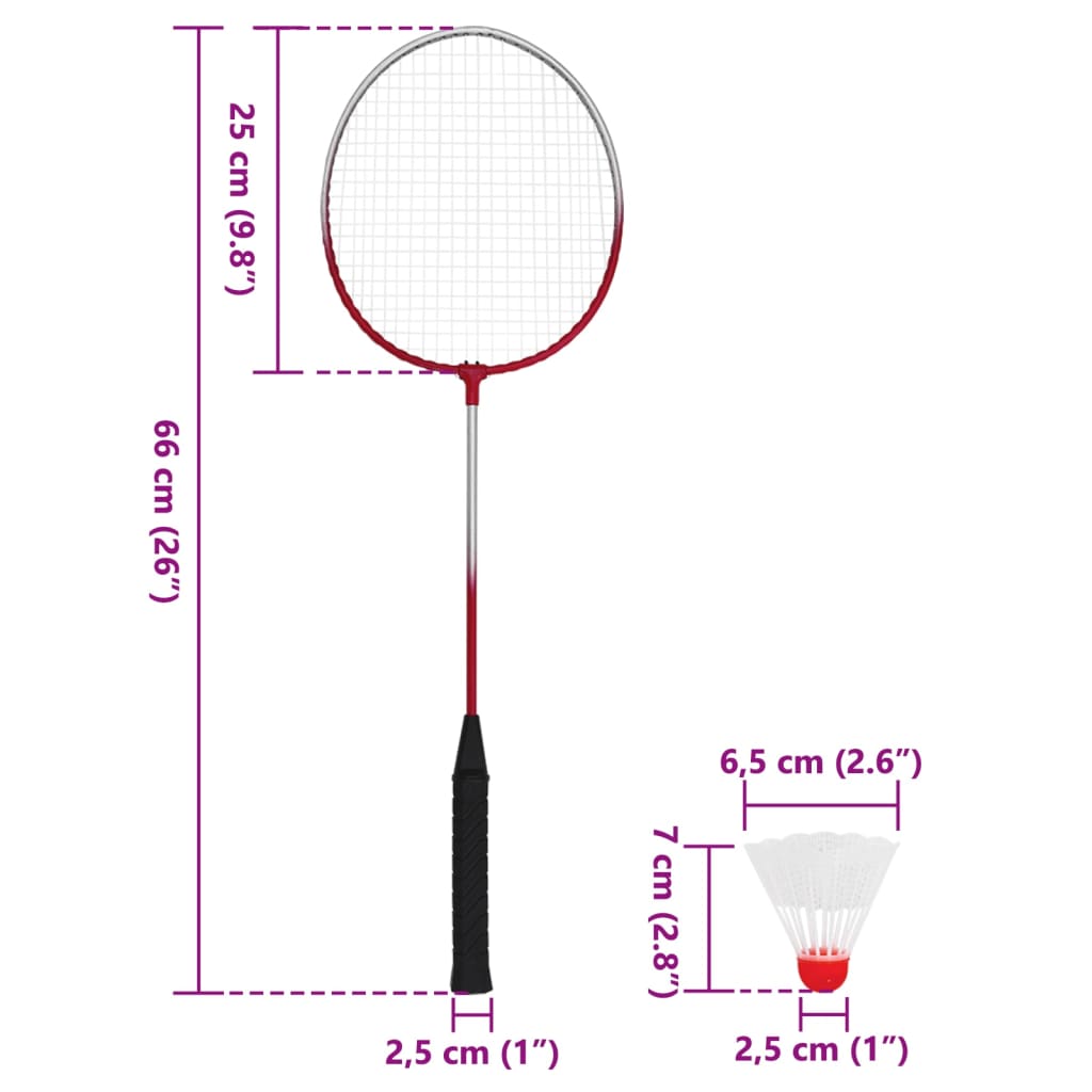 vidaXL Badminton-Set mit 4 Schlägern und Netz 620x151 cm