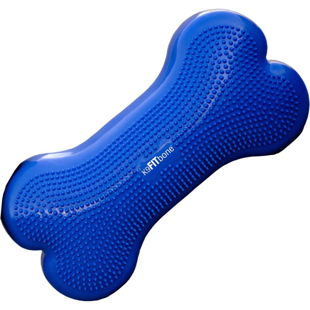 FitPAWS Balancierscheibe K9FITbone PVC Himmelblau