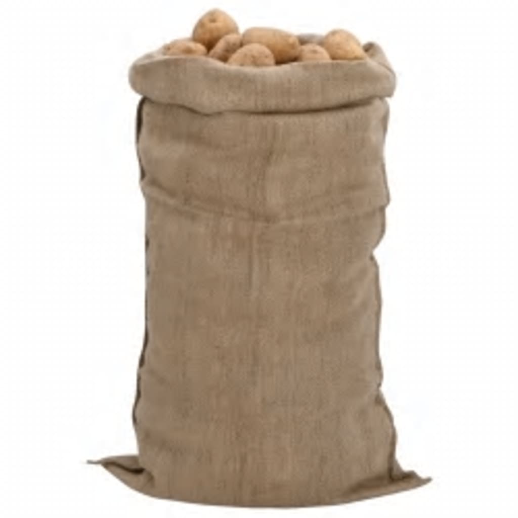 vidaXL Jutesäcke 30 Stk. 65x135 cm 100% Jute 340 g/m²